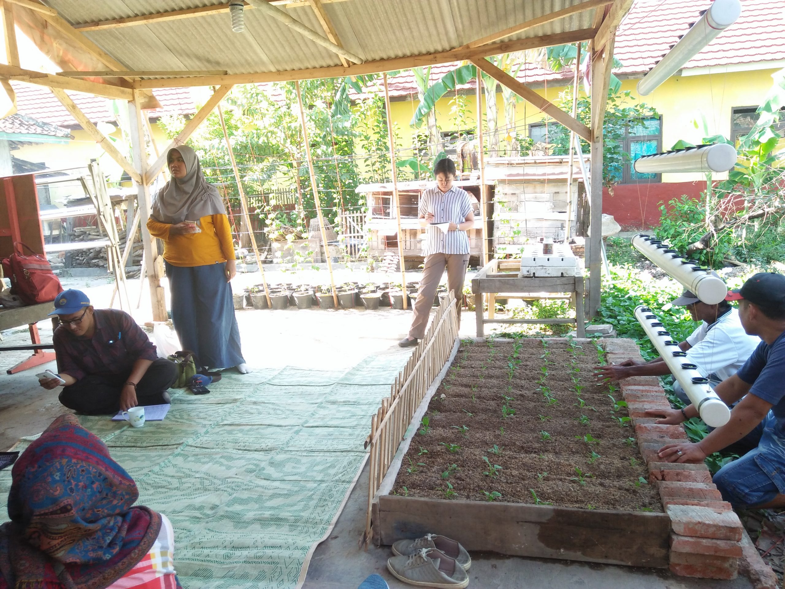 Warga Mulai Terbiasa Praktik Urban Farming