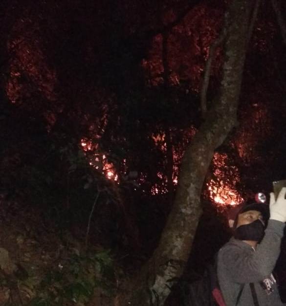 Api Membesar, 8 Petugas Damkar Naik ke Gunung Kujang