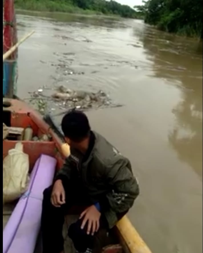 Dikira Bangkai Sapi, Alasan Mukhsin Tidak Tarik Mayat di Sungai Cipunagara