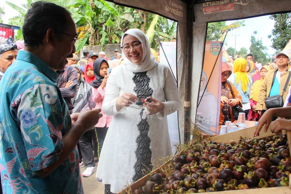 Festival Manggis Purwakarta 2019, Produk Unggulan jadi Kunjungan Wisata