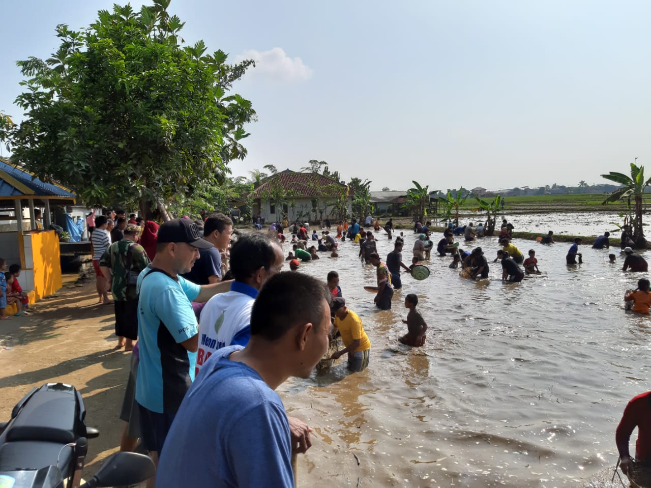 Syukuran Kemenangan Jokowi, Warga Rame-rame Gobyag Ikan 3 Kwintal