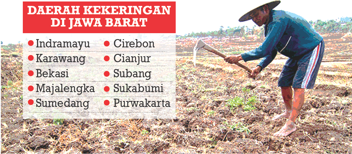 11 Daerah di Jawa Barat Dilanda Kekeringan, 64 Hari Tak Turun Hujan