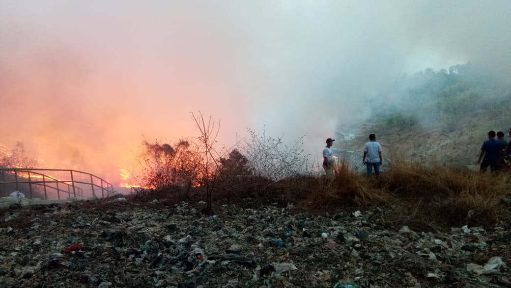 Api Diduga dari TPA Panembong Merembet ke Area Perkebunan