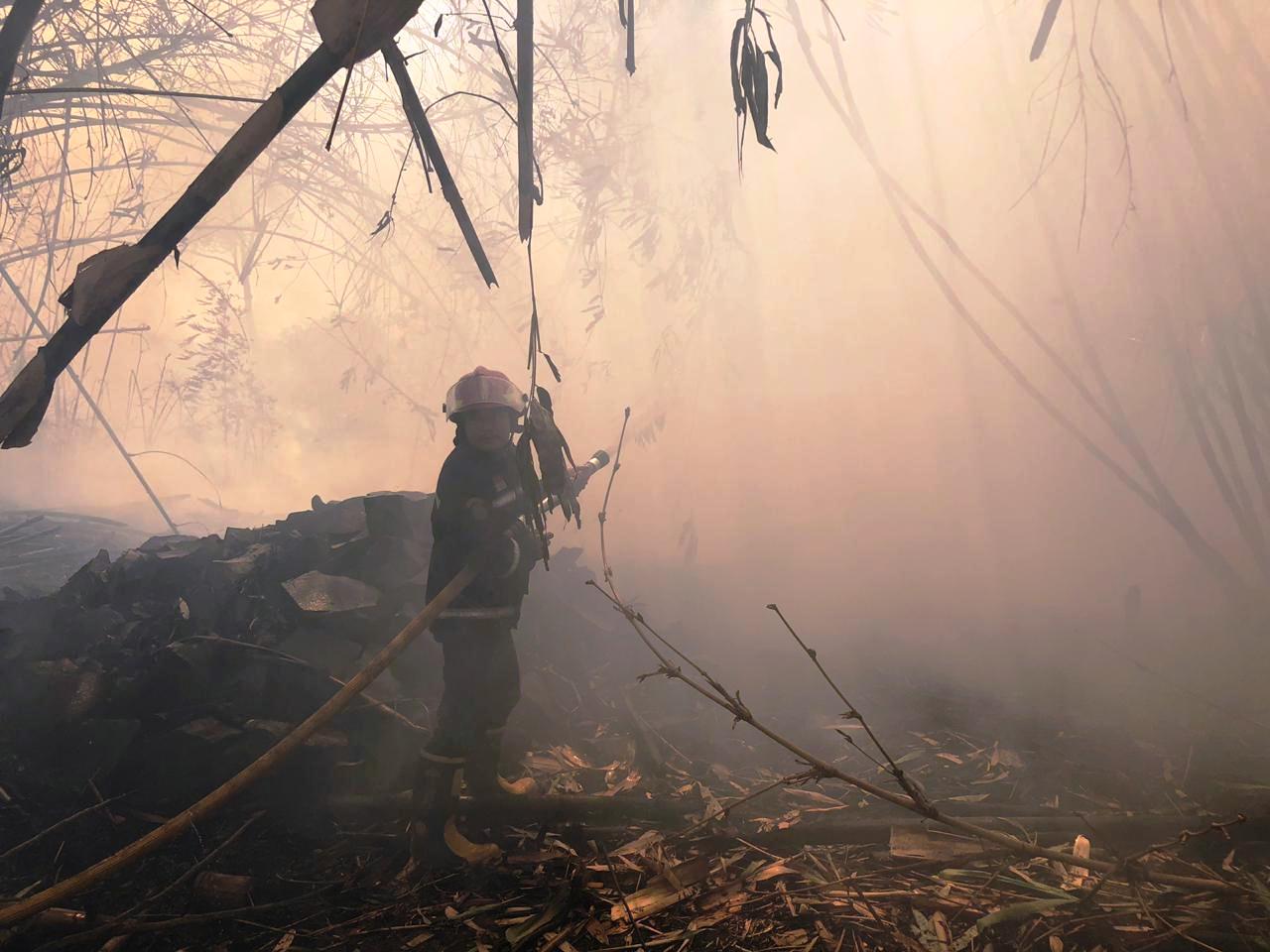 Lahan Bambu Kebakaran, Merembet ke Area Pembuangan Limbah Sulfur