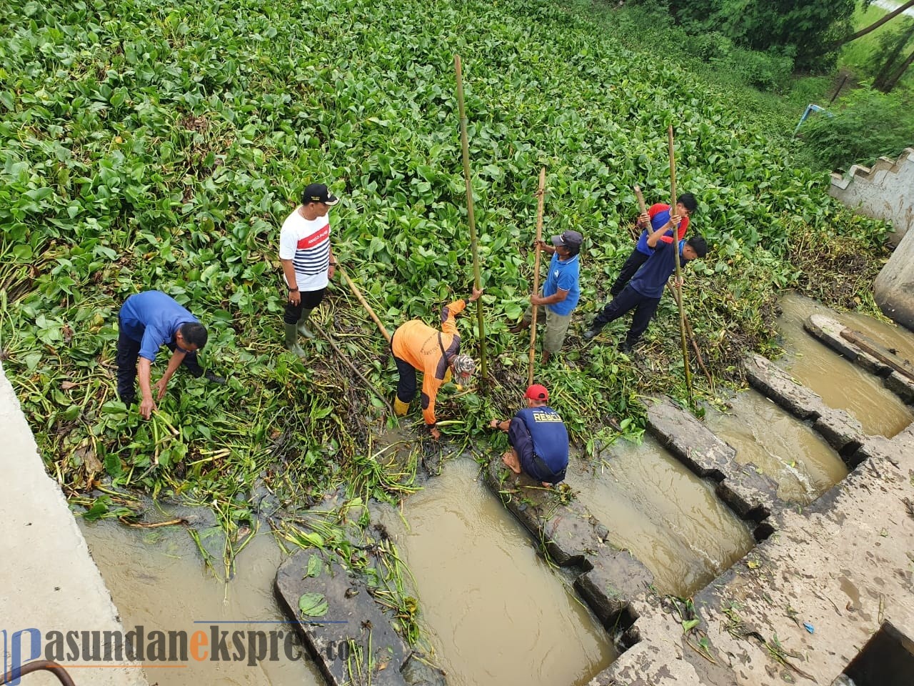 Dinas Pertanian Ajukan Bantuan Petani Terdampak Banjir