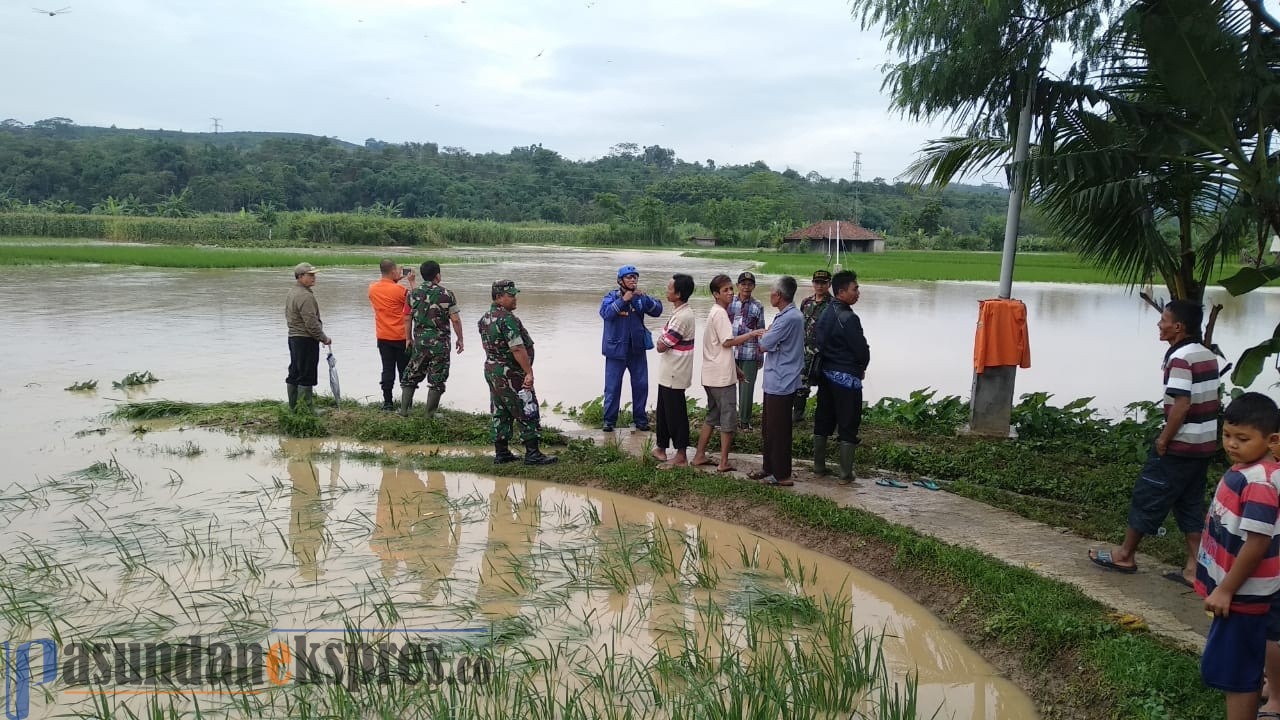 32 Hektare Sawah Terendam Banjir