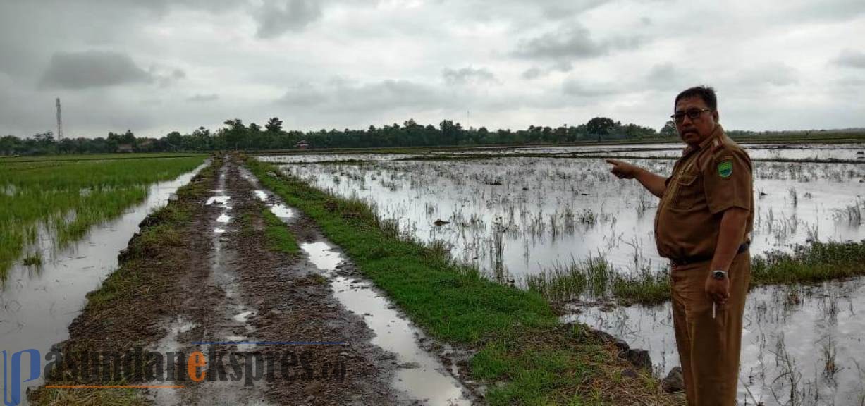 Dusun Derik Rawan Bencana, Berharap Tak Terjadi Banjir
