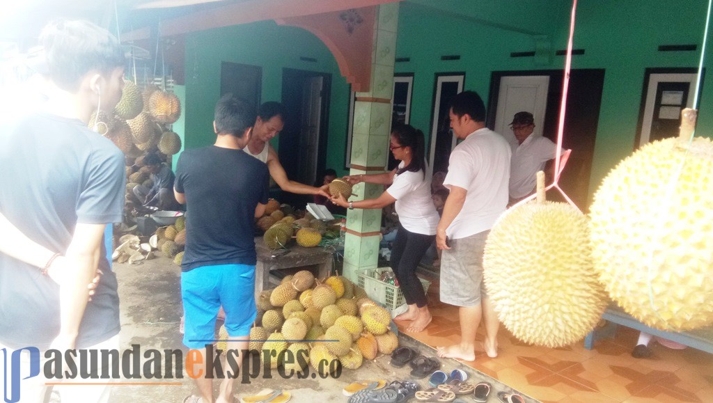 Memburu Buah Durian di Patrol Tambaksari