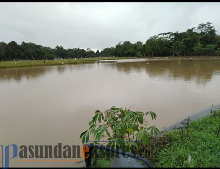 Puluhan Hektare Sawah di Pagaden Barat Terendam Banjir