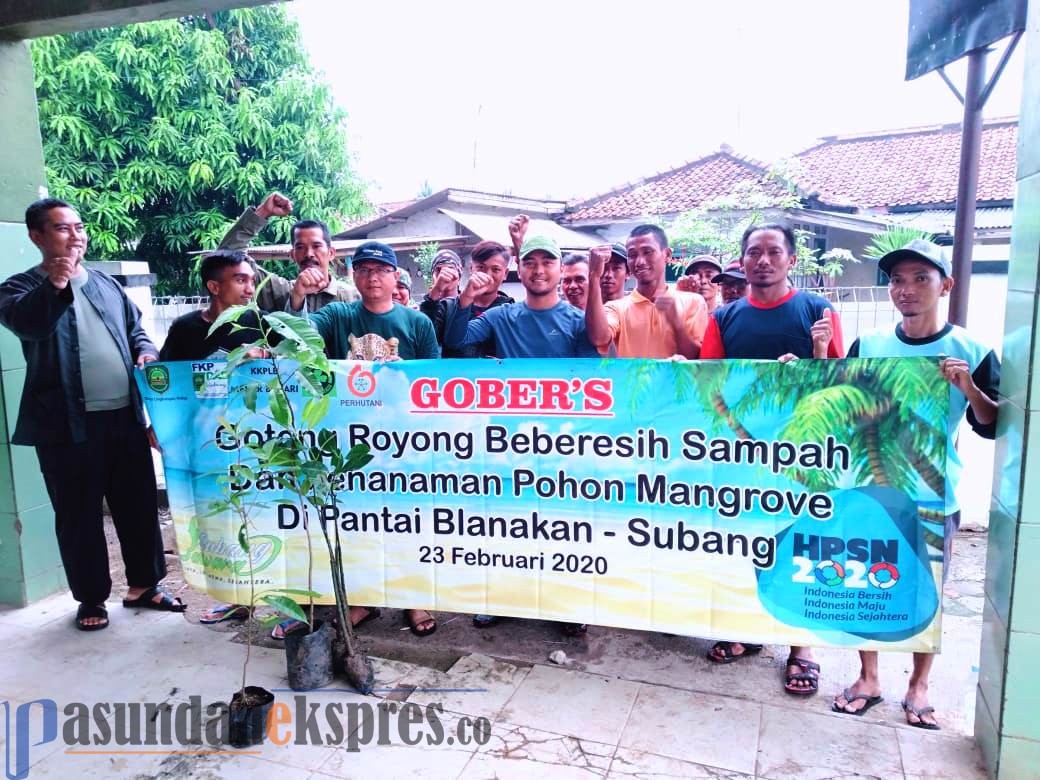Jaga Ekosistem Pantai Blanakan, Aktivis Tanam 1.000 Pohon Mangrove