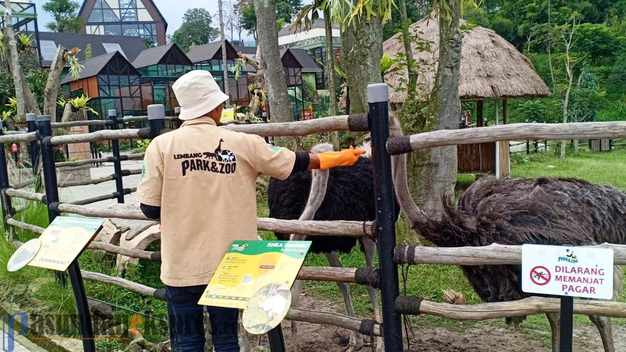 Lembang Park & Zoo Kurangi Jatah Makan Satwa