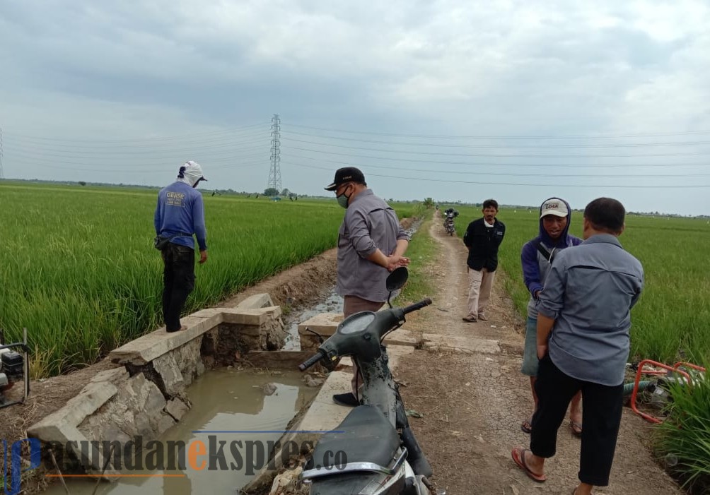 100 Hektare Sawah di Desa Karanganyar Terancam Kekeringan