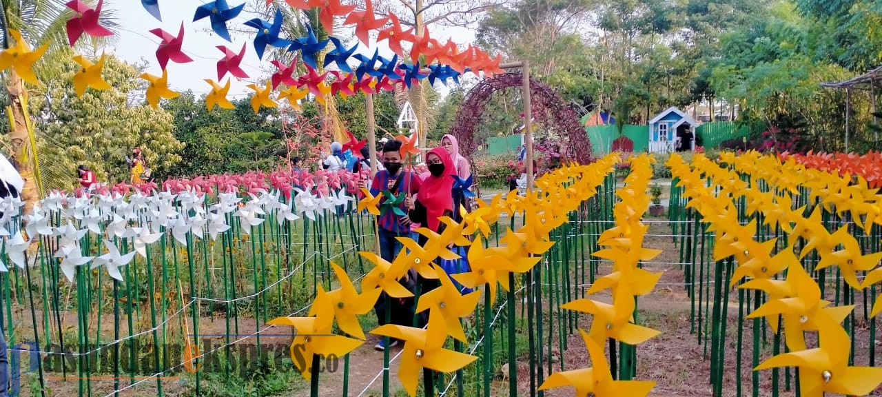 Viral ! Marigold Garden Taman Kincir Angin di Tamelang