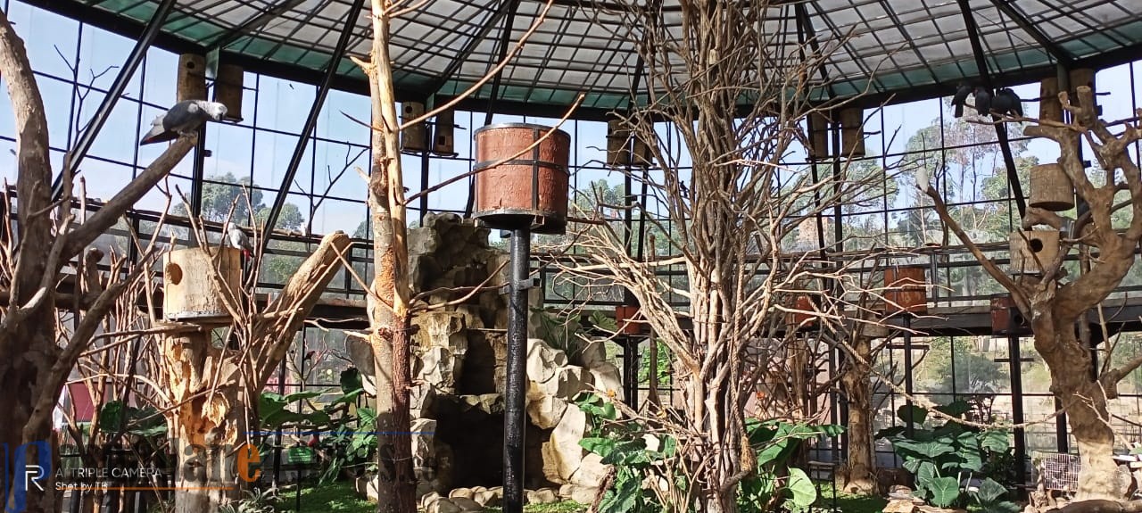 Kubah Raksasa Park Zoo di Lembang Tampung Ratusan Ekor Burung