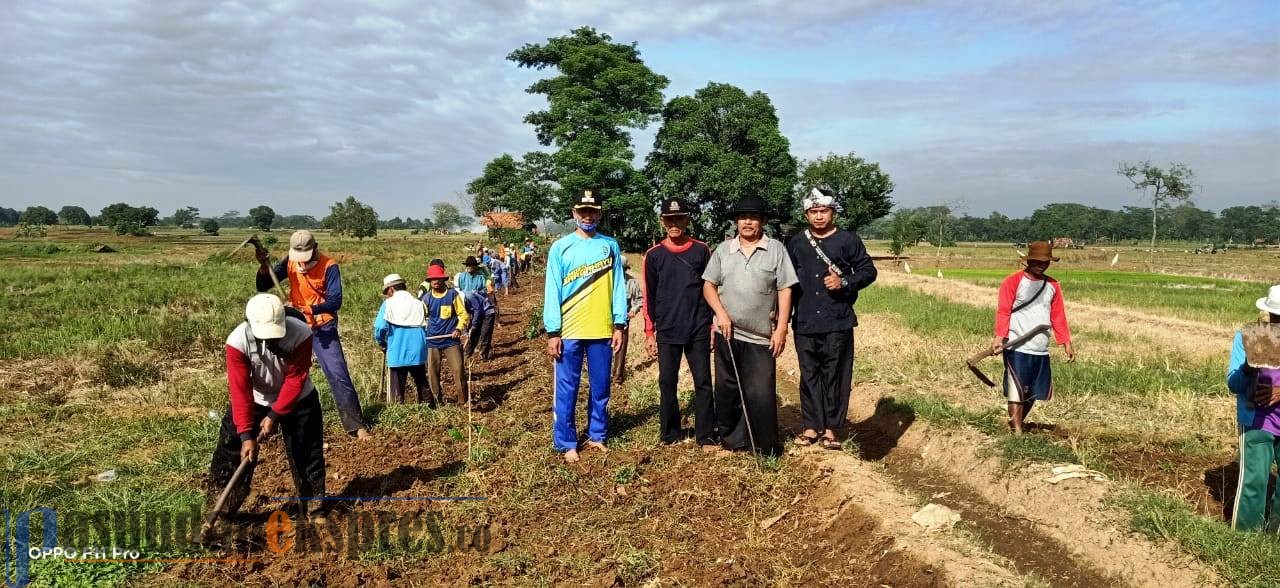 Perbaiki 1 Kilometer Jalan Pertanian Blok Sawah Selang