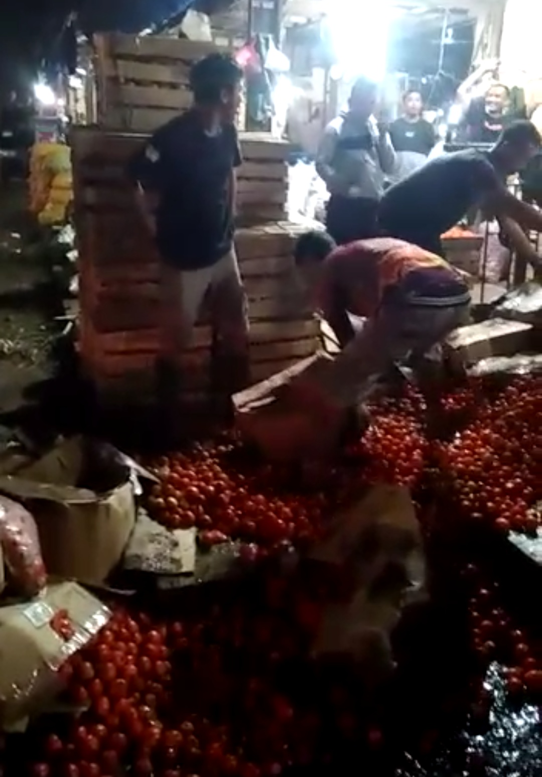 Harga Tomat Terjun Bebas Harga Pupuk Malah Naik, Petani:Pemerintah harus Bertindak