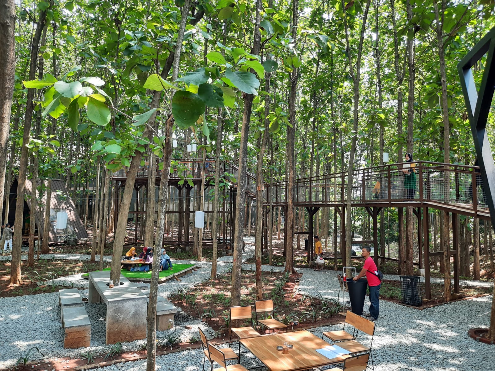 Viral di Medsos!! Hutan Jati Cafe and Gelato Suguhkan Nuansa Hutan di Tengah Kota