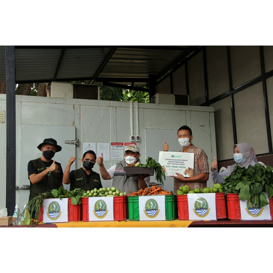 Kepala Dinas Kehutanan Provinsi Jawa Barat Epi Kustiawan saat memberi bantuan pakan untuk satwa herbivora di Kebun Binatang Kota Bandung. (Foto: instagram @dishut_jabar)