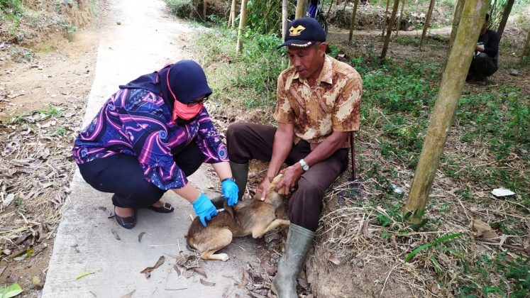 Penularan Virus Rabies di Bandung Barat