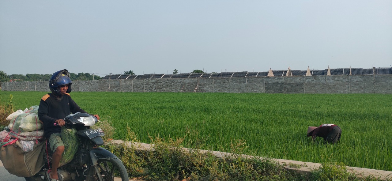 Pemkab Karawang Izinkan 10.000 Hektare Lahan Dialih Fungsi