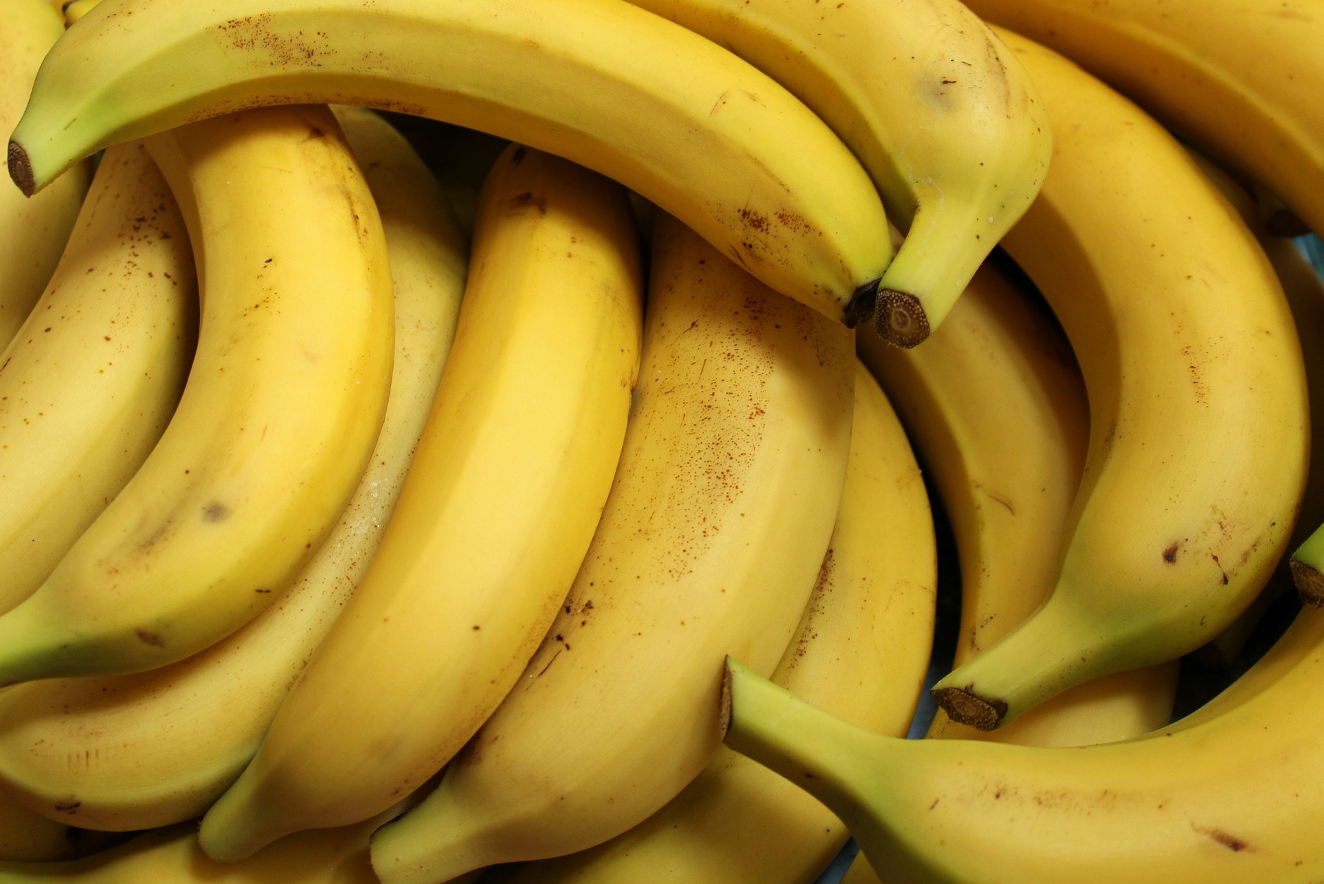 manfaat pisang untuk mengatasi kebotakan
