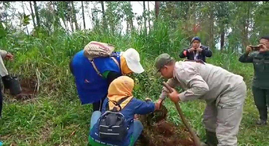 Baraya Tatar Pasundan Tanam Pohon di Cisaroni
