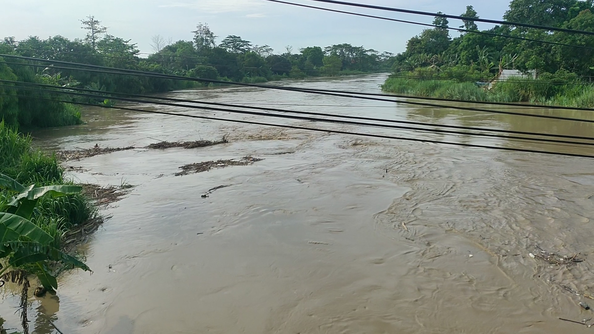 Alarm Dini Penanganan Banjir di Pantura, Sungai Ciasem Sentuh 7 Mdpl