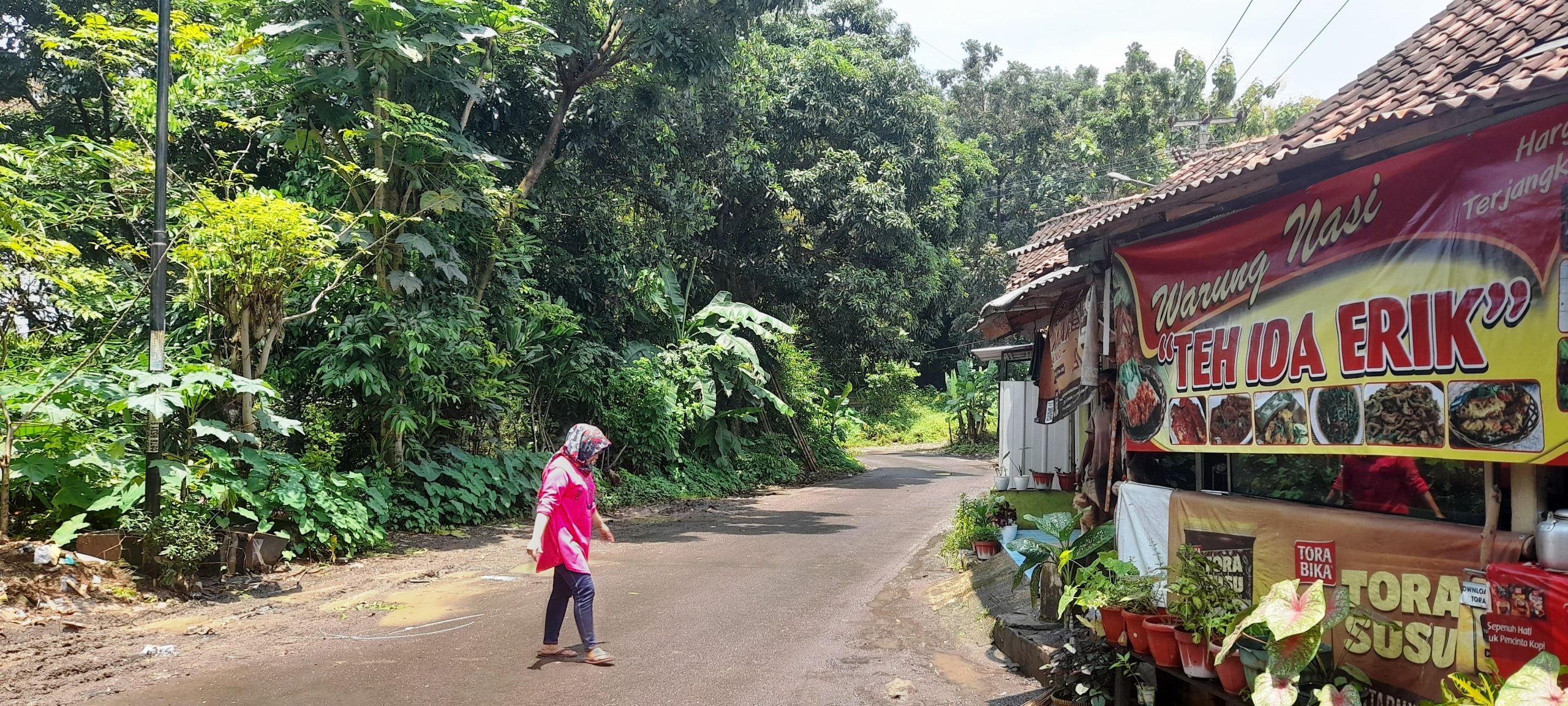 Kelurahan Pasirkareumbi Subang Dekat Pusat Kota Tapi PJU Minim, Dishub: Konsentrasi di Pantura