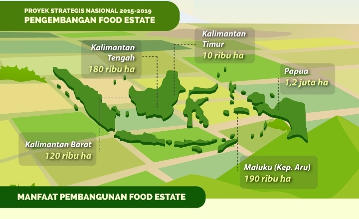 Food Estate, Kesempatan Realisasikan Kemandirian Pangan Indonesia