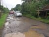 Ruas jalan Tanjung-Sumurbarang Kecamatan Cipunagara Kabupaten Subang, kondisinya sangat memperihatinkan.