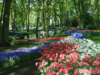 Negara Belanda, Si Pemilik Taman Bunga yang Terkenal di Dunia
