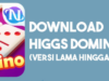Download Apk Higgs Domino Island