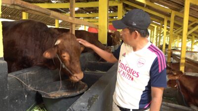 Kang Dedi Mulyadi Jadikan Lembur Pakuan Laboratorium Lingkungan dan Pertanian Organik