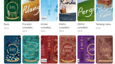 Buku Best Seller Salah Satu Penulis Terkenal di Indonesia, Tere Liye