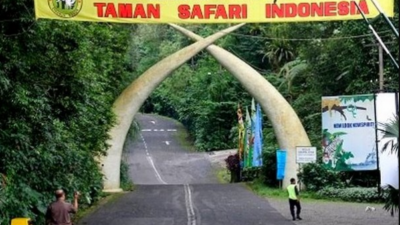 Taman Safari Salah Satu Tempat Wisata di Bogor. Foto via Kabupaten Bogor