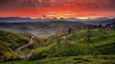 Rekomendasi Lima Wisata Pangalengan Bandung, Cocok untuk Healing