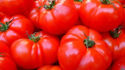 Manfaat Tomat Untuk Kesehatan