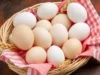 Perbedaan Pada Telur Ayam dari Warna hingga Ukuran. Sumber Foto via Redcliffe Labs