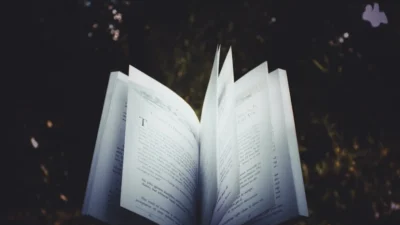 Gaya Bahasa dalam Menulis Novel - Pengertian dan Tips