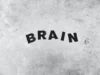 6 Fakta Unik Otak Manusia yang Belum Pernah Kamu Ketahui, That's Amazing!