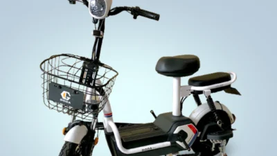 Cari Tahu Tentang Baterai Sepeda Listrik dan Tips Merawatnya (Image From: Sepeda Listrik)