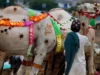 Tengok Tradisi Idul Adha Unik di Berbagai Negara: Tahun Depan Mau Idul Adha di Mana? Sumber Gambar via IDN Times