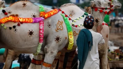 Tengok Tradisi Idul Adha Unik di Berbagai Negara: Tahun Depan Mau Idul Adha di Mana? Sumber Gambar via IDN Times