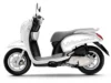 Decal Scoopy