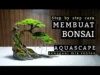 Panduan Cara Membuat Bonsai Aquascape untuk Para Pemula