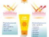 Mengulik Perbedaan Jenis Sunscreen yang Ada di Pasaran: Jangan Sampai Salah Pilih. (Sumber Ilustrasi via Vecteezy)