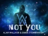 Lirik lagu Not You Allan Wallker ft. Emma Steinbakken