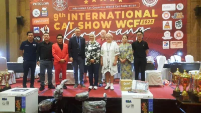 Ratusan Kucing Adu Kontes di Indonesia Cat Show-World Cat Federation