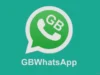 Hati-hati! 3 Dampak Penggunaan Apk WhatsApp GB Bisa Bikin Kalang Kabut! (Sumber Gambar: Saniter)