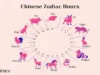 12 Nama Chinesse Zodiak: Karakteristik dan Makna Simboliknya